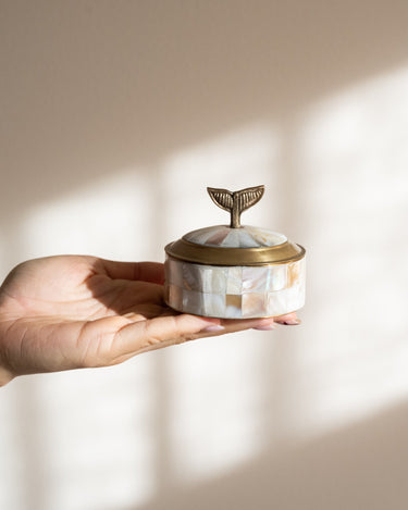 SET OF 3 - Circus Box Pearly Sea - Things I Like Things I Love