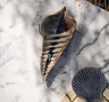 Small Plate Amaillee Shell - Things I Like Things I Love