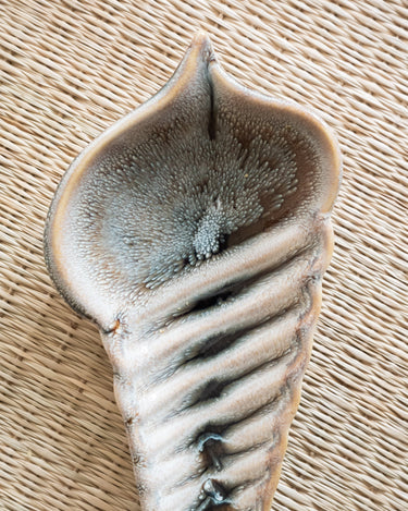 Small Plate Amaillee Shell - Things I Like Things I Love