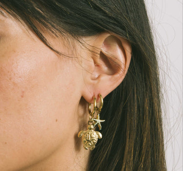 TILTIL Earrings Gold Plated Hoop Seastar Gold