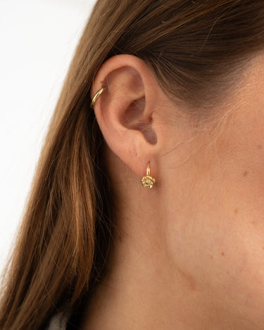 TILTIL Set of 2 Hoop Tiny Flower Poppy Gold - Things I Like Things I Love