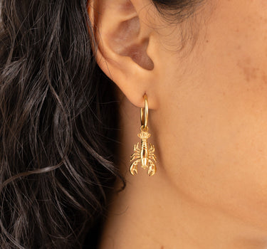 TILTIL Set of 2 Lovely Lobster Hoops Gold - Things I Like Things I Love