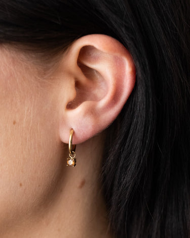 TILTIL Set van 2 Teddy Zircon Earrings Bruin Goud - Things I Like Things I Love