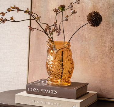 Vaas Uil Glas Amber - Things I Like Things I Love