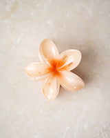 Clip Blume Hawaii