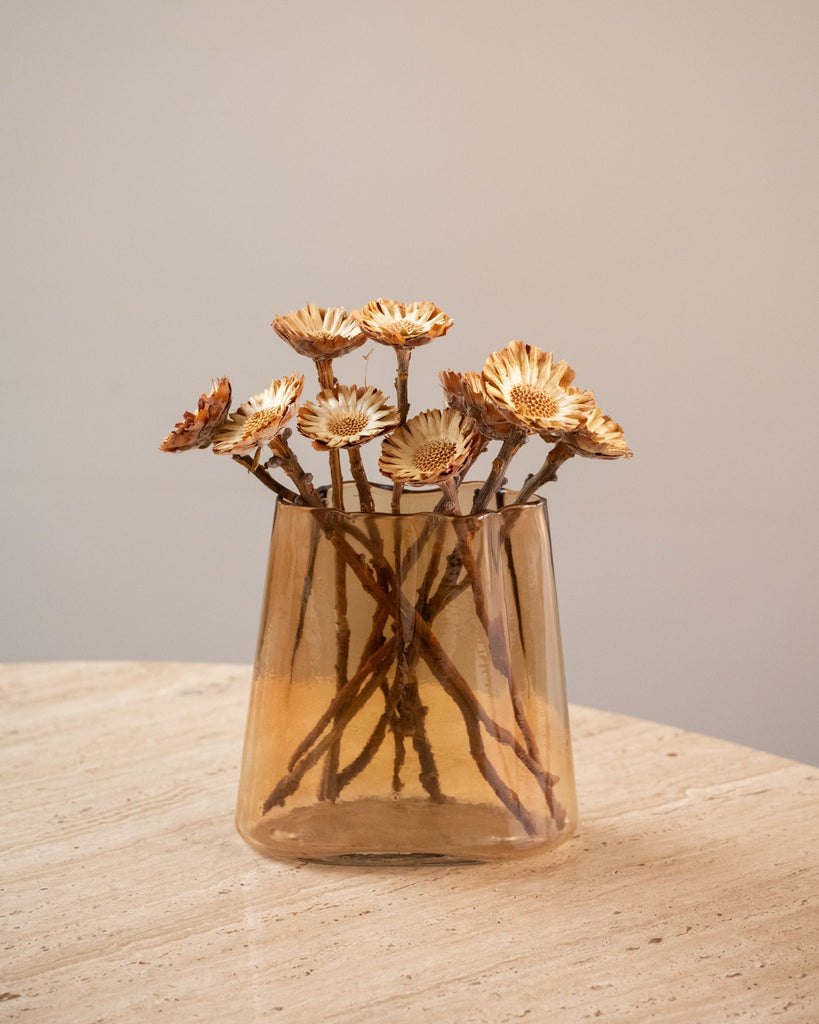 Dried Flower Protea Compacta - SET OF 10 - Things I Like Things I Love
