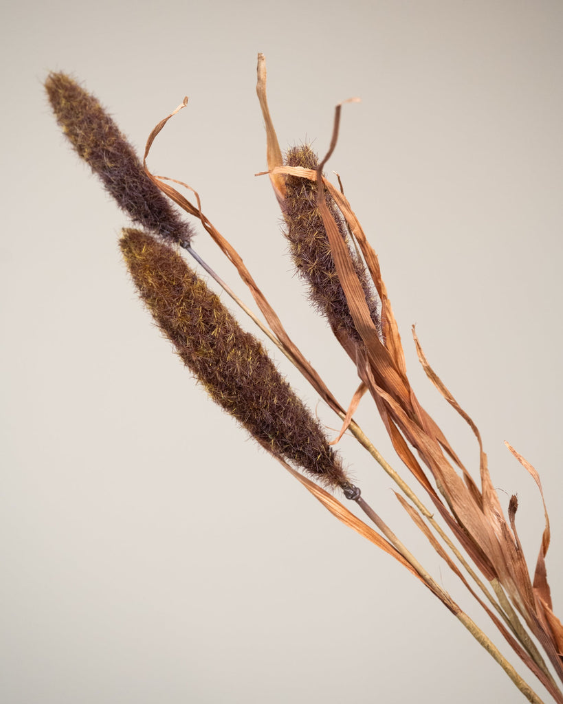 Faux Flower Cattail Branch - Things I Like Things I Love