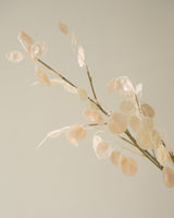 Faux Flower Lunaria Champagner