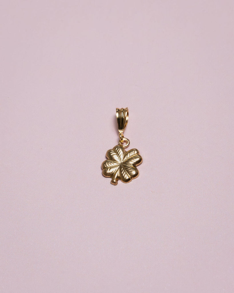 Goldfilled Necklace Charm Lucky - Things I Like Things I Love